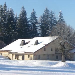 Etoile des Neiges